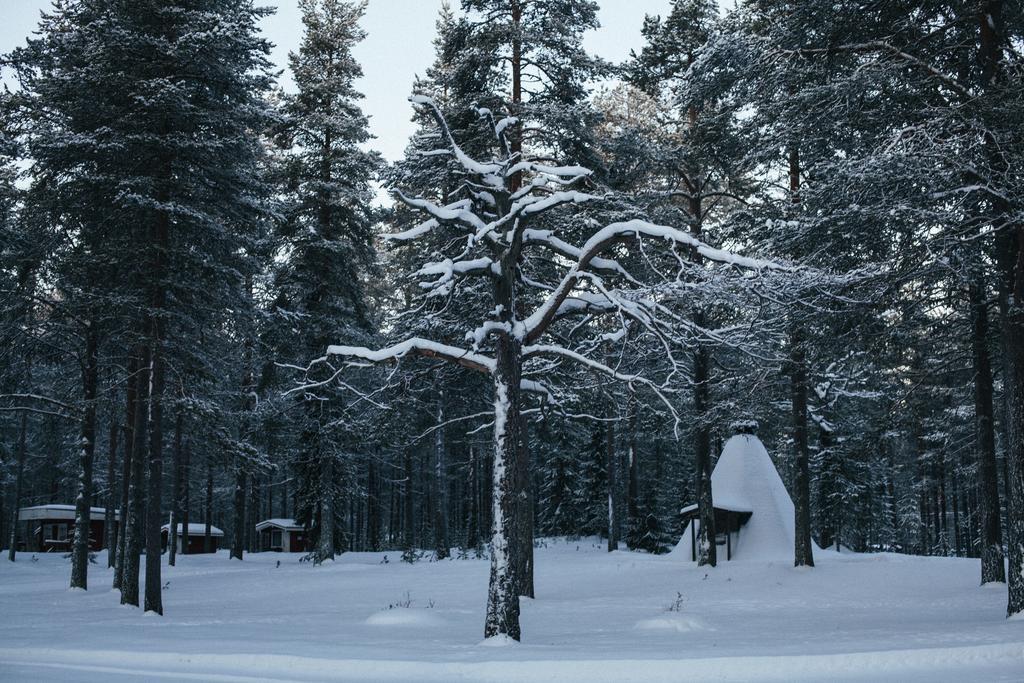 Вилла Petaejaekylae Куусамо Номер фото
